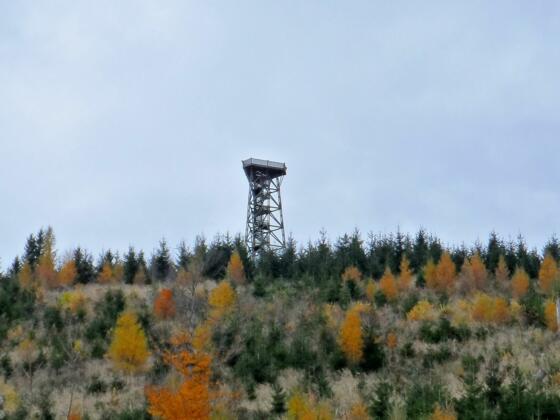 Aussichtsplattform am Damberg