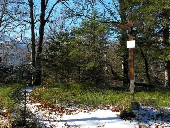 Das schlichte Gipfelkreuz des Ameissteins (776m)