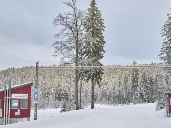 Langlaufen am Bretterschachten