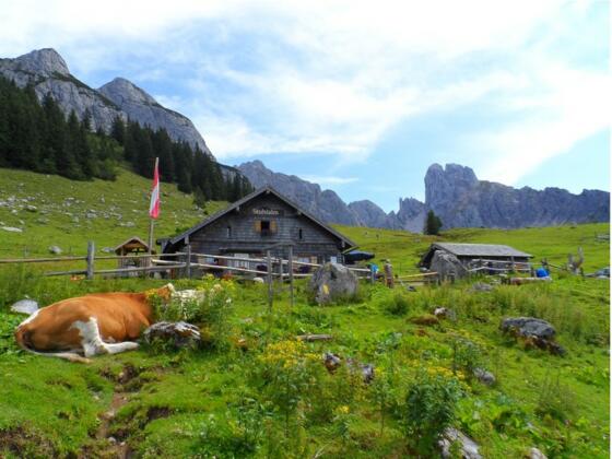 Die urige Stuhlalm vor dem Gosaukamm mit Bischofsmütze