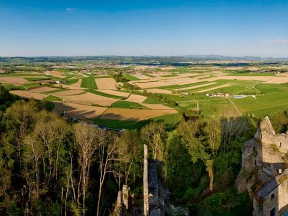 Panoramablick Burgruine Schaunberg