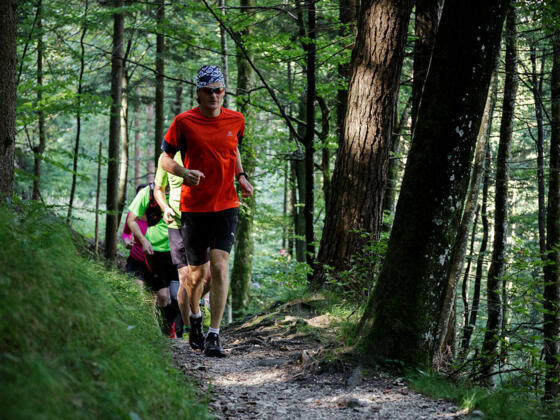 Schmale Trails im Kufsteinerland