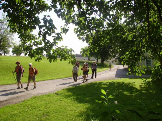 Pilgergruppe am Jakobsweg