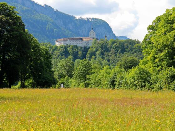 Schloß Hohenaschau in Aschau