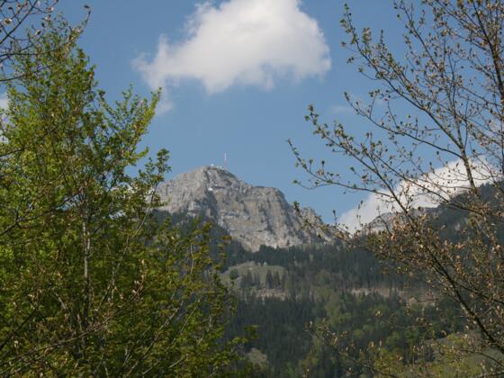 Blick auf den Wendelstein