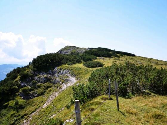 Der Fellhorngipfel in Sichtweite