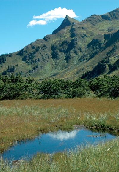 Riedboden, Richtung Muttjöchle