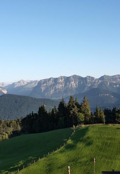 Blick vom Brüggelekopf in den Bregenzerwald