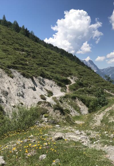 Wandern über Almwiesen