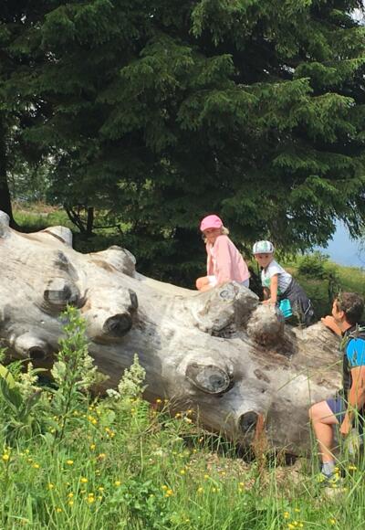 Geisterberg Wanderung