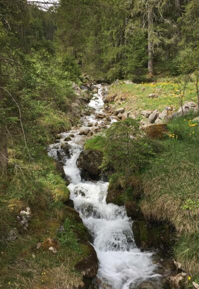 Wanderweg Richtung Maria Kirchental