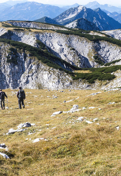 Grasmatten am Nockplateau