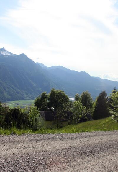 Güterweg oberhalb von Laz