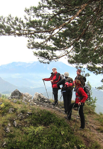 Aussichtspunkt am Weg zur Bärenriedlau