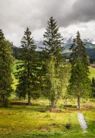 Kleiner Baumkreis beim Neubergerhof