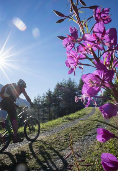 Auffahrt über den Leiterberg