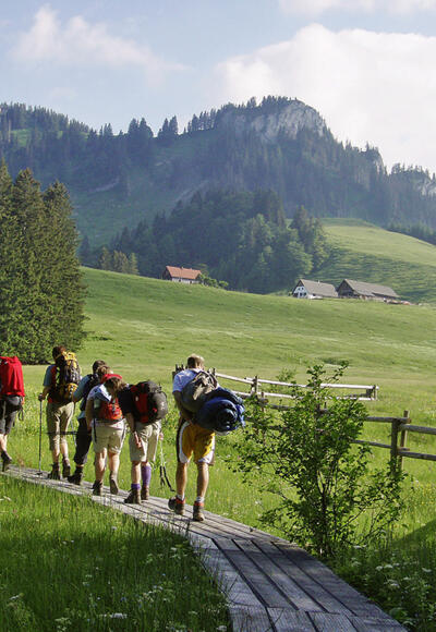 Auf Holzstegen durchwandert man das Ebenforster Moor