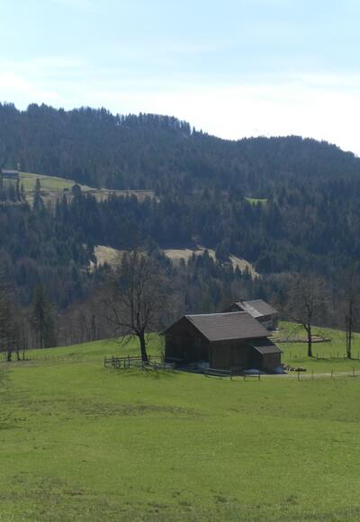 Hinterbergalpen bei Hittisau