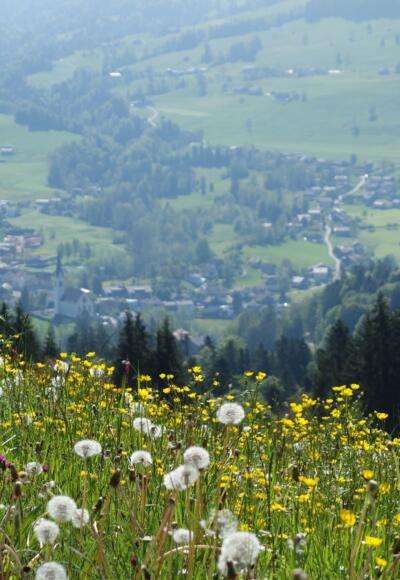 Blick auf Egg vom Kaltenbrunnen