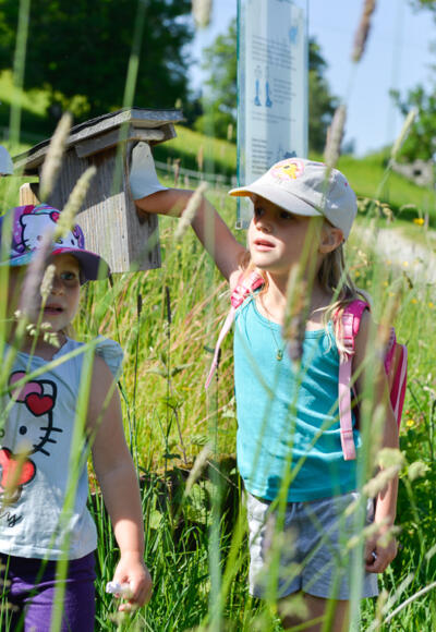 Eulenweg Riefensberg