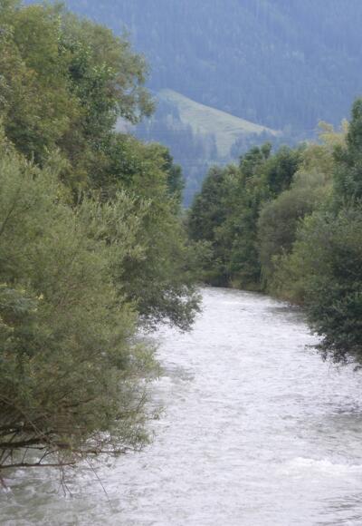 Die Saalach bei der Geigenbergbrücke