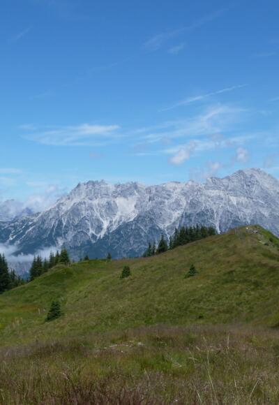 Entlang des Kammes zurück zum Ausgangspunkt. Immer im Blick: Die Leoganger Steinberge mit dem Birnhorn (2634m)
