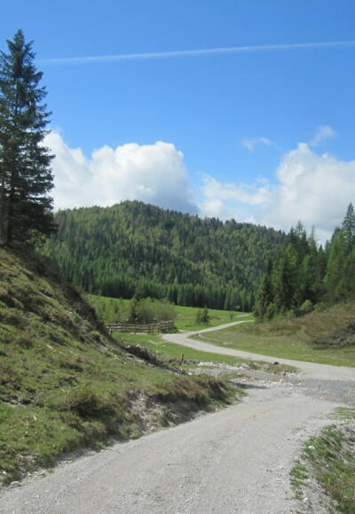 Römersattel Schüttachweg