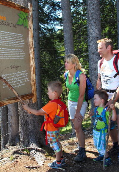 Information über die Gams und die Jadg