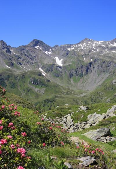 Unterwegs bei der Keinprechthütte