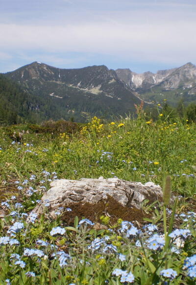 Hirschwandsteig Richtung Südwienerhütte