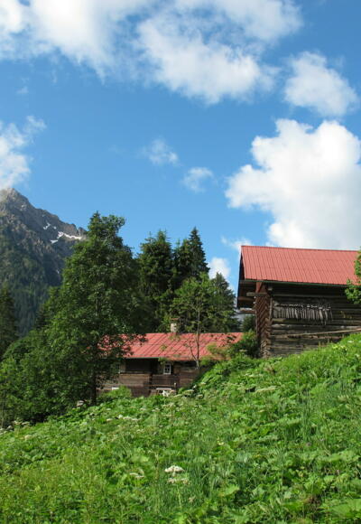 Altes Walserhaus mit Stall am Breitachweg, im Hintergrund Zwölfer- und Elferkopf.