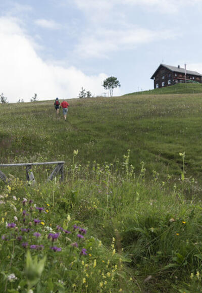 Alpwegkopfhütte (c) Martin Vogel / Vorarlberg Tourismus