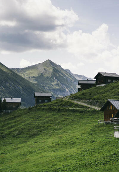 Alpe Gamp (c) Dominic Berchtold / Vorarlberg Tourismus