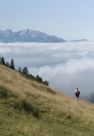 Abstieg zum Treietpass (c) Martin Vogel / Vorarlberg Tourismus
