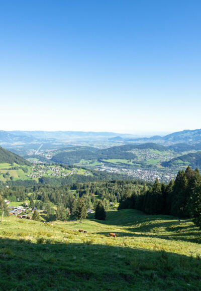 Blick ins Rheintal (c) Lucas Tiefenthaler / Vorarlberg Tourismus