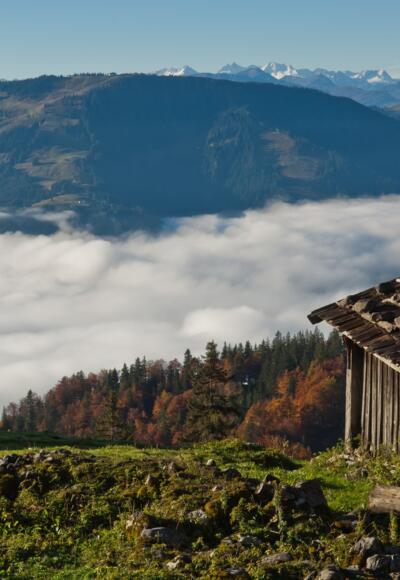 Kaiser Hochalm - mit Blick auf die Hohe Salve