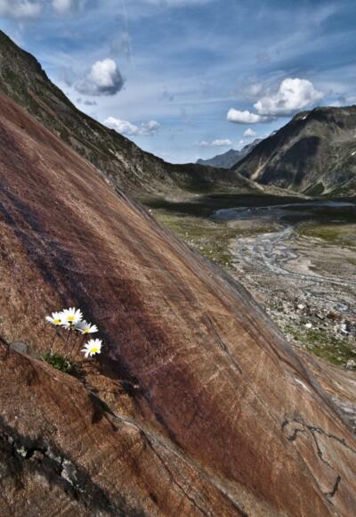 Gletscherschliff oberhalb der Sulzenauhütte