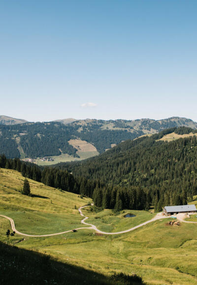 Güntle Alpe (c) Nina Bröll / Vorarlberg Tourismus