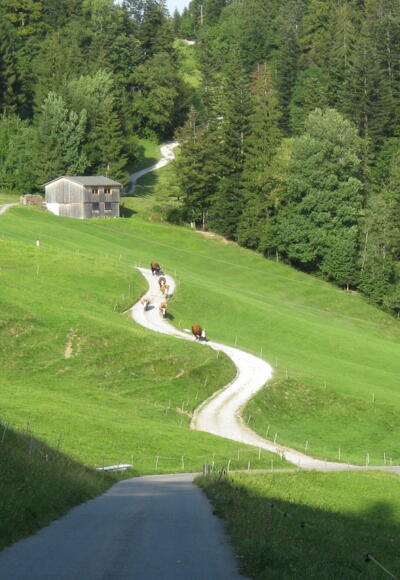 Richtung Berchtoldshöhe