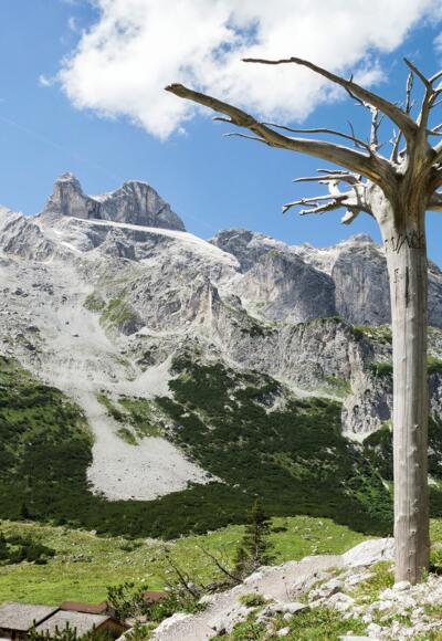 Gauertaler AlpkulTour (c)  Andreas Haller -  Montafon Tourismus GmbH, Schruns.jpg