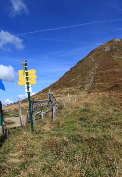 Enzian (Symbol des Salzburger Almenweges) am Filzmoossattel