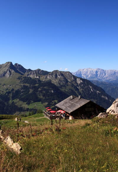 Aussicht auf der Saukaralm