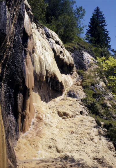 Quelltuff-Gebiet in Lingenau