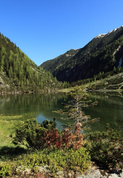 Schödersee (periodisch)