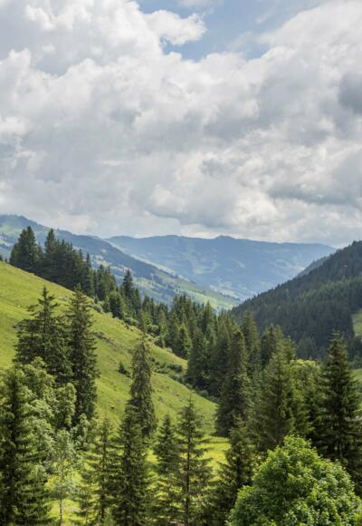 Talschluss Höhenweg (c) BMA