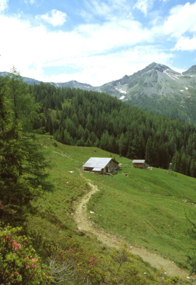 Hühnerkaralm