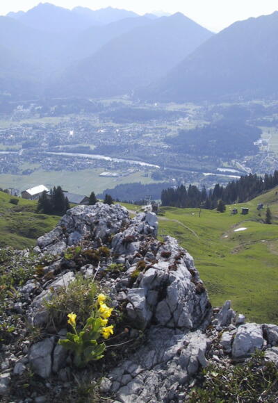 Blick vom Hahnenkamm