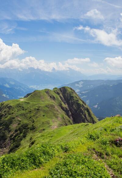 Spielberghorn (c) BMA