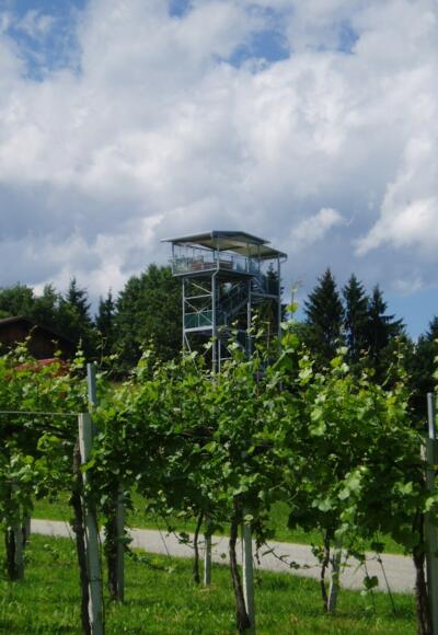 360° Panoramaturm Weingut Garber