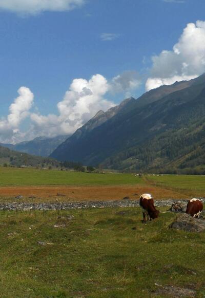 Blick Richtung Ferleiten
